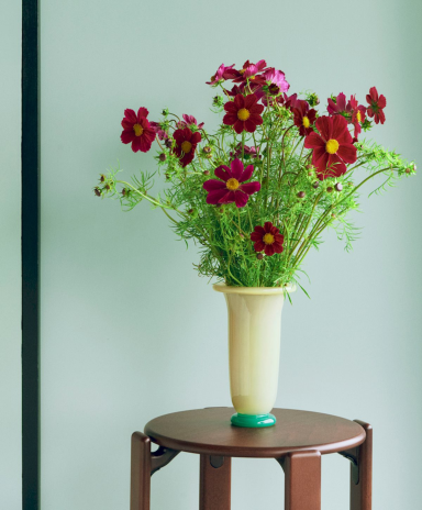 A Beautiful Vase